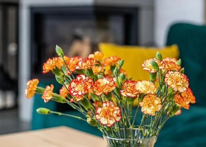 Oaza Villa Bieszkowice